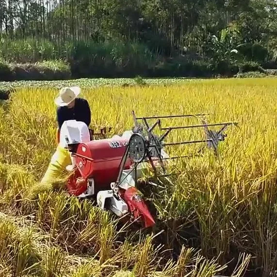 Автоматическая 13HP новая маши – обзор и цена Combine Harvester Mini